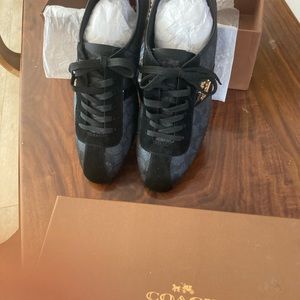 Coach Signature Sneakers - New in Box